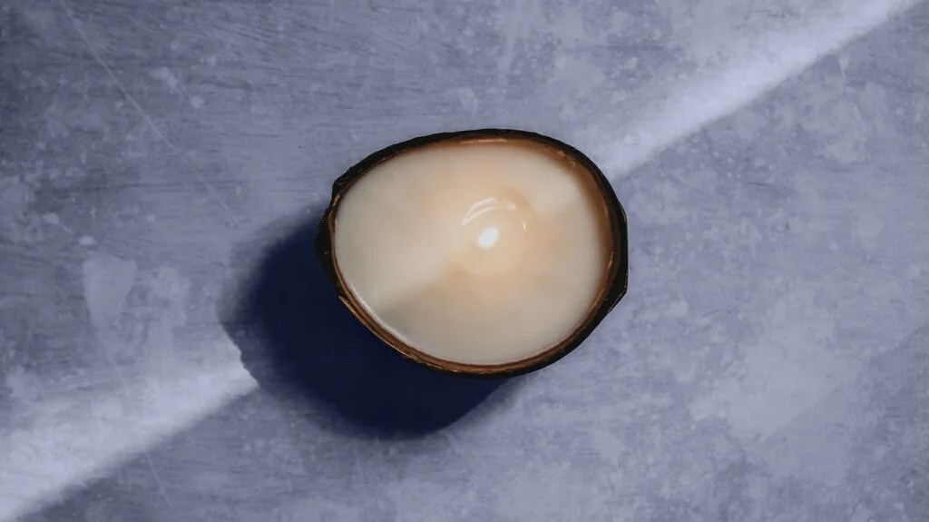 Solid coconut oil inside a coconut shell
